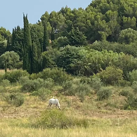 Vue Sur La Lagune Villa