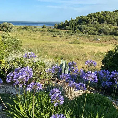 Vue Sur La Lagune Villa Bages (Aude)