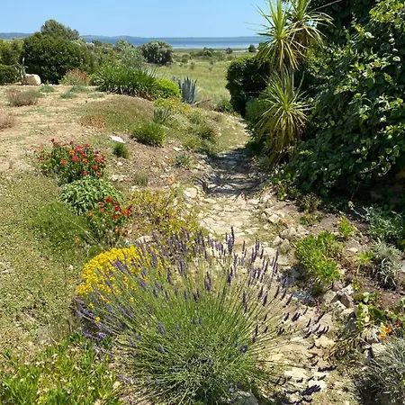 Vue Sur La Lagune Villa Bages (Aude)